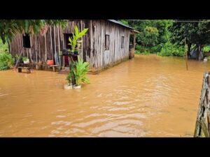 Situação de alerta na fazenda: enchente assusta moradores e animais 😰