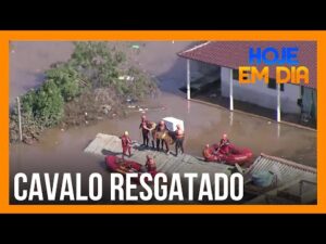 Bombeiros realizam emocionante resgate de cavalo isolado em telhado de Canoas (RS)