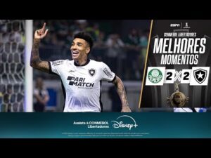 BOTAFOGO SEGURA PRESSÃO NO FIM, EMPATA COM O PALMEIRAS E AVANÇA NA LIBERTADORES | Melhores Momentos